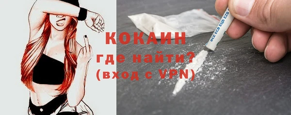 спиды Горняк