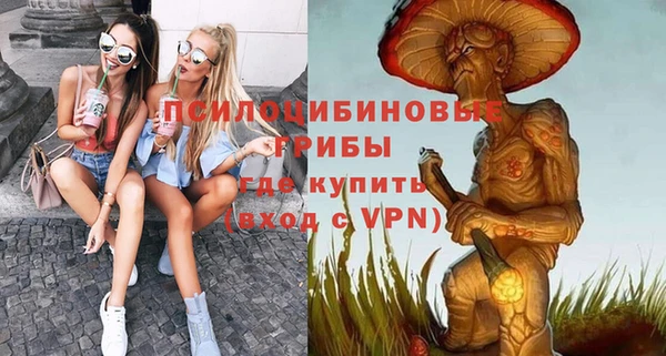 спиды Горняк