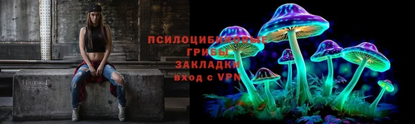 ALPHA PVP Горнозаводск