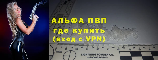 спиды Горняк