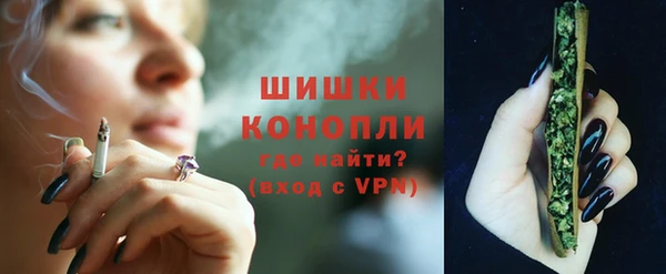 спиды Горняк