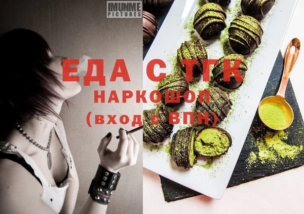 спиды Горняк