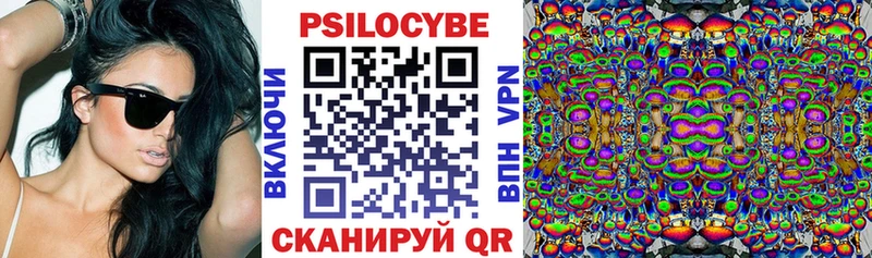 OMG сайт Новый Оскол Галлюциногенные грибы Psilocybe цена